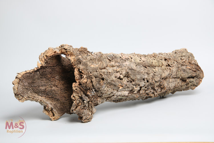Natural cork tube for reptile shelter and climbing
